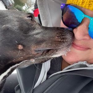 Meet your Posher, Elisabeth